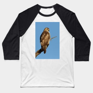 Red-tailed Hawk - juvenile Baseball T-Shirt